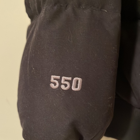 North Face 550 Down Jacket with Hood - Picture 3 of 6